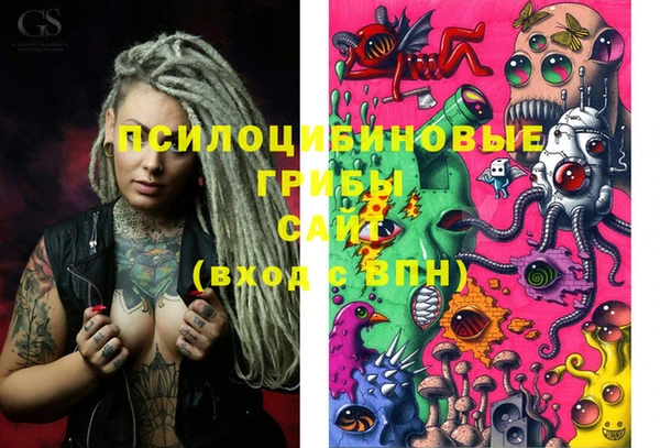 молекула духа Абинск