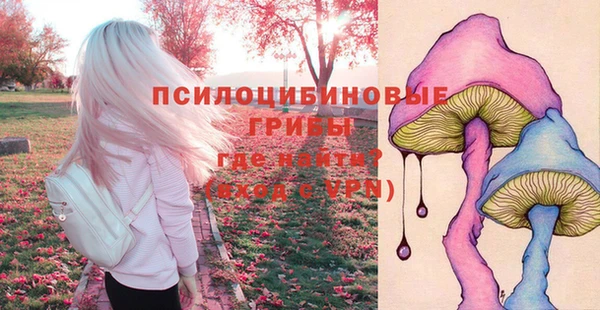 молекула духа Абинск