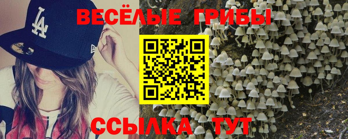 Нальчик  Галлюциногенные грибы мухоморы  Псилоцибиновые грибы прущие грибы  Вход с VPN 