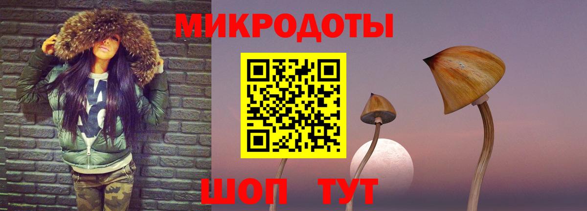 Галлюциногенные грибы Psilocybine cubensis Нальчик