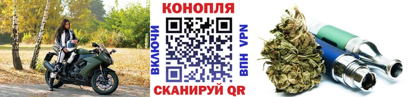 Каннабис план Нальчик